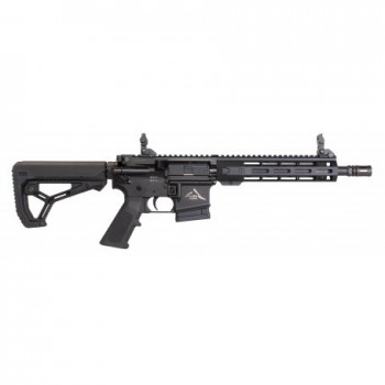 CARABINE ALPEN ARMS STG15 11,5 CAL 300 BLK